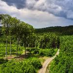 Zpevnění lesní cesty L2 Pět žídel – Sv. Klimentek