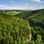 Lesní cesta Rybníky