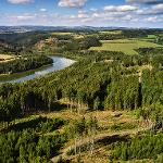 Lesní cesta Mlyňanská