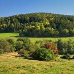 Investice do nezemědělských činností – Jiří Zelený