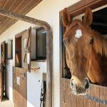 Pořízení vybavení jezdeckého areálu - Ing. Josef Hlavinka