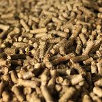 Technologie dezintegrace biomasy