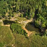 Niva potoka Mandát - Vodní plocha a mokřad v l.t. Kněžské Hory