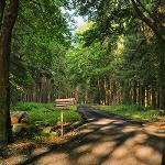 Rekonstrukce lesní cesty Habrovec po povodňové vlně