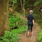 Nordic walking  (NW) Novohradsko – lekce/kurzy/akce zaměřené na NW, obchod a půjčovna potřeb pro NW
