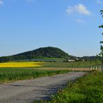 Výstavba polních cest HPC 1, HPC 3 a VPC 2 v k.ú. Zbyny včetně ozelenění