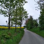 Polní cesta C7 v k.ú. Poděšín