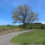 Stavba polní cesty HPC6 v k. ú. Dolní Sytová