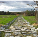 Protierozní příkop a rekonstrukce části polní cesty Mančice