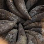 Modernizace vinařství Krásná hora