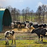 Investice do zemědělského podniku - MILOSLAV ZEDNÍČEK