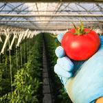 Investice do zemědělských podniků - Josef Sklenář 