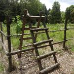 Kinský dal Borgo - ochrana MZD oplocením 2016