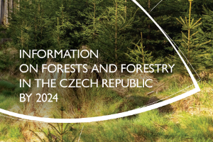 Information on Forests and Forestry in the Czech Republic by 2024