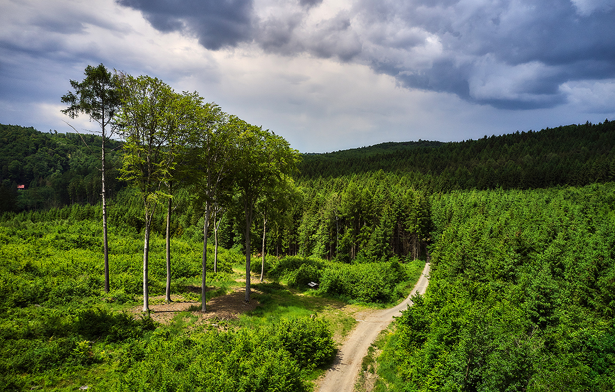 Zpevnění lesní cesty L2 Pět žídel – Sv. Klimentek