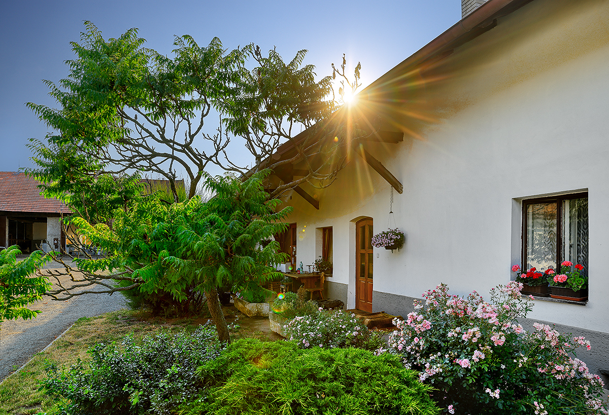 Stavba bourárny a technologie pro zrání a prodej hovězího masa