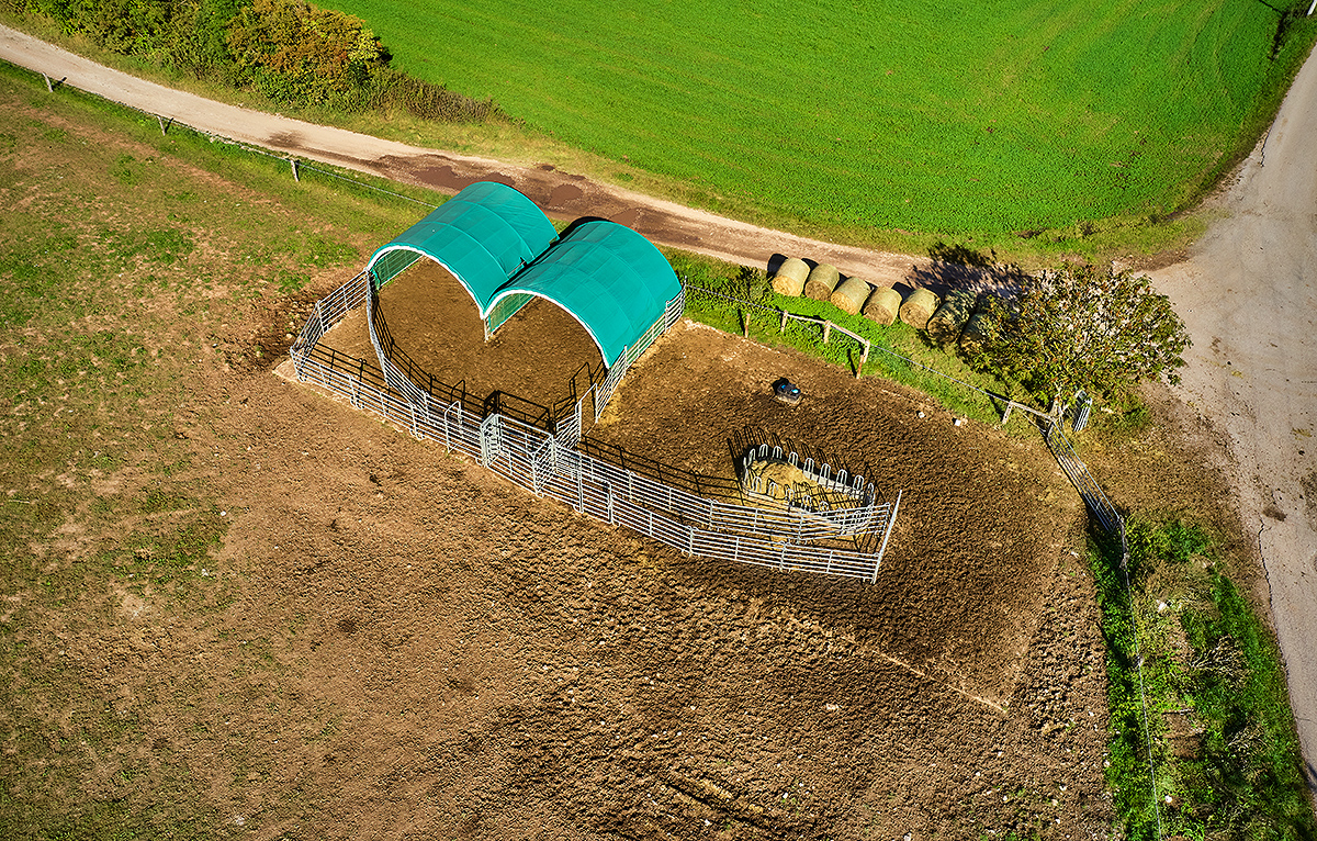 Zahájení chovu masného skotu na ekofarmě Prostřední Lánov