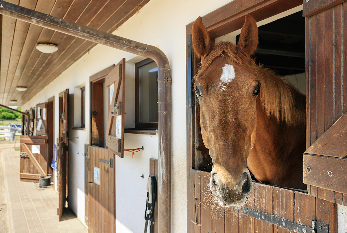 Pořízení vybavení jezdeckého areálu - Ing. Josef Hlavinka