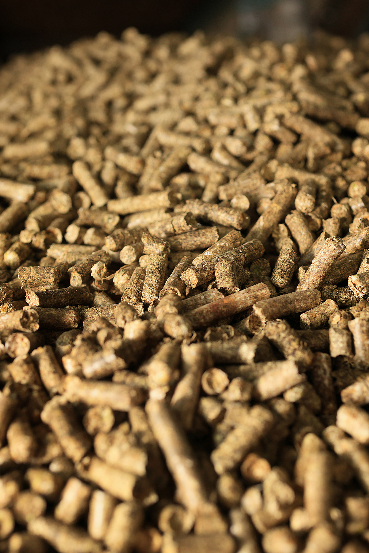 Technologie dezintegrace biomasy