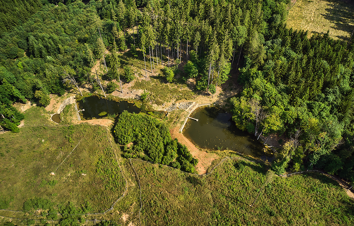 Niva potoka Mandát - Vodní plocha a mokřad v l.t. Kněžské Hory