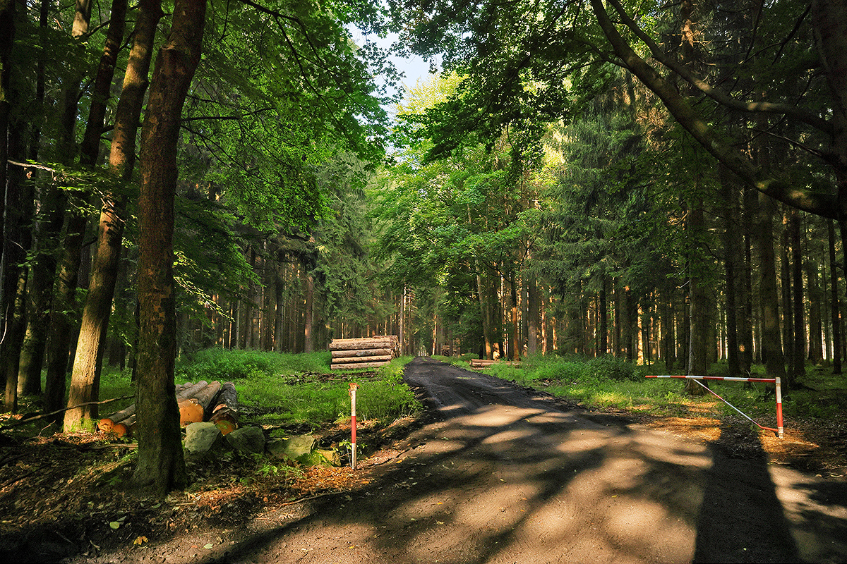 Rekonstrukce lesní cesty Habrovec po povodňové vlně