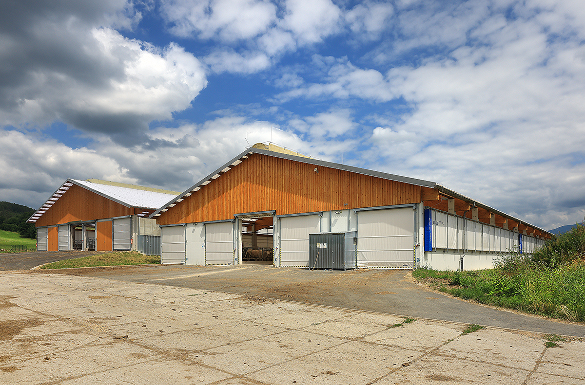 Inovativní řešení stáje pro chov KBTPM a výkrm býků