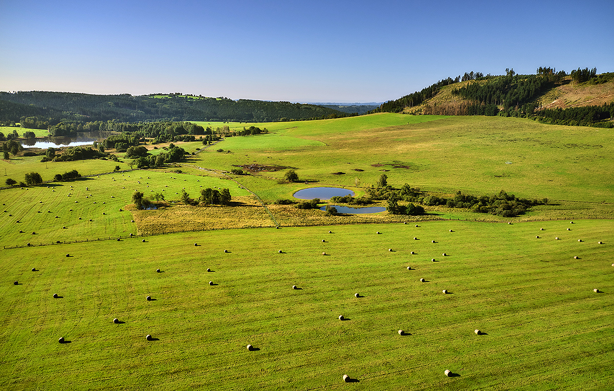 Ekologické zemědělství - Biofarma Belina