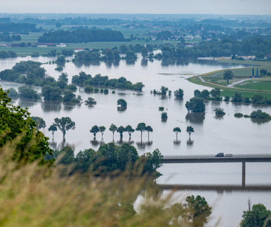 Ministerstvo zemědělství zajistilo pozemky pro výstavbu bytových domů pro lidi, kteří přišli o střechu nad hlavou při podzimních povodních