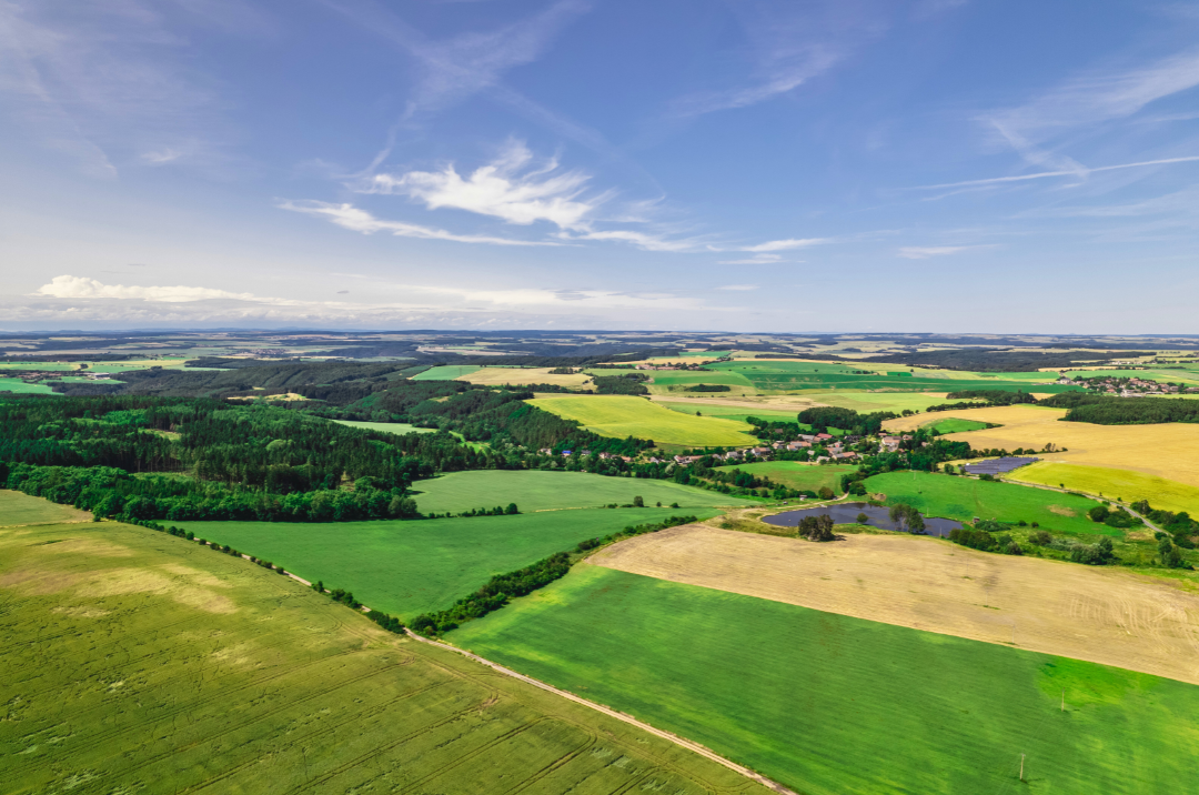 Ministr zemědělství Marek Výborný schválil sazby přímých plateb pro rok 2025. Novinkou jsou příspěvky na hospodaření s ohledem na krajinu a krajinné prvky