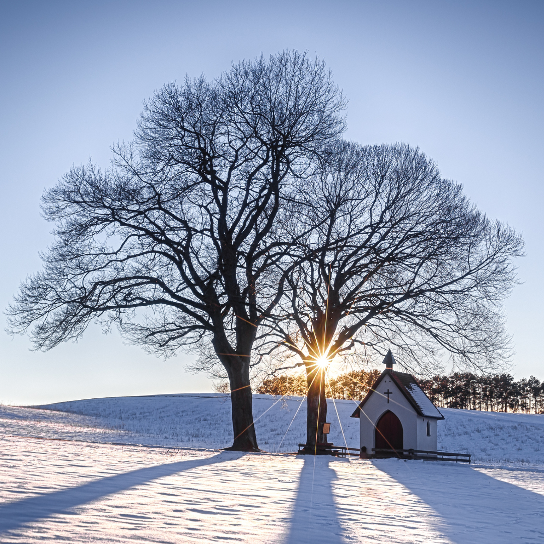 Ministerstvo zemědělství poskytne v příštím roce 50 milionů korun na opravy kulturních prvků venkova. Zvýšilo maximální výši dotace na projekt