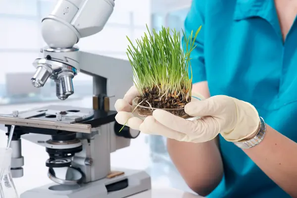 Cena ministra zemědělství pro mladé vědkyně a vědce 2024