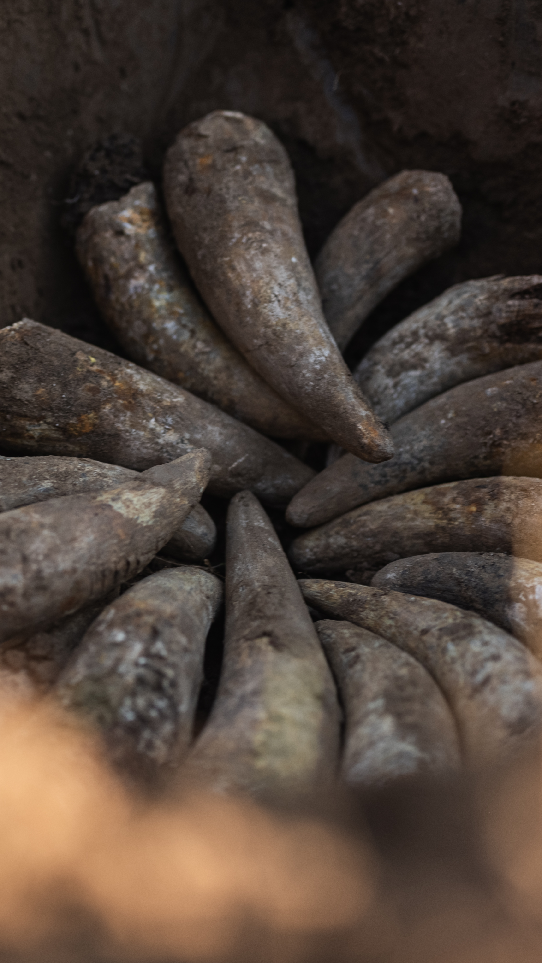 Modernizace vinařství Krásná hora