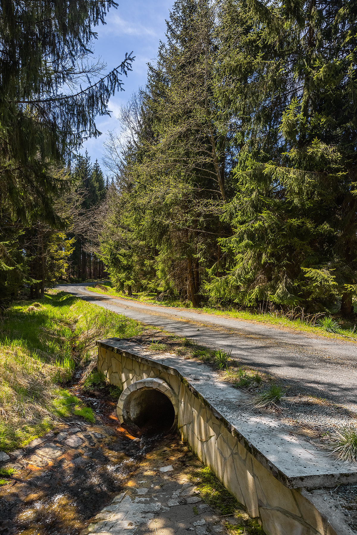 Oprava lesní cesty II. Alej