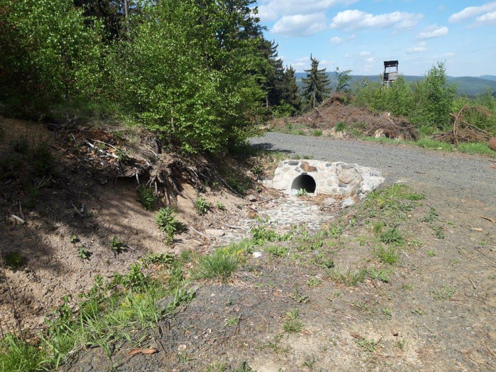 Rekonstrukce lesní cesty "Slepá"