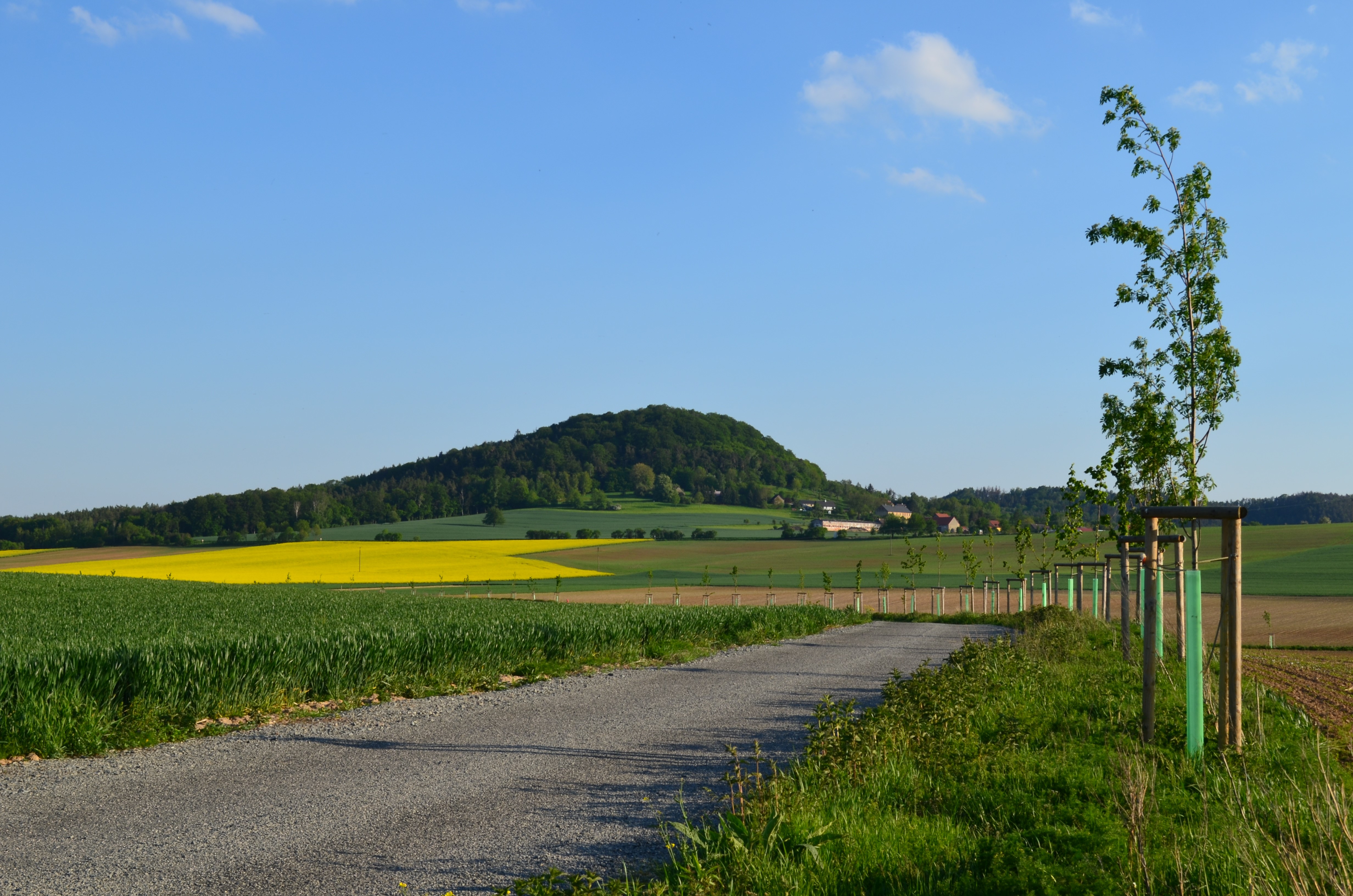 Výstavba polních cest HPC 1, HPC 3 a VPC 2 v k.ú. Zbyny včetně ozelenění