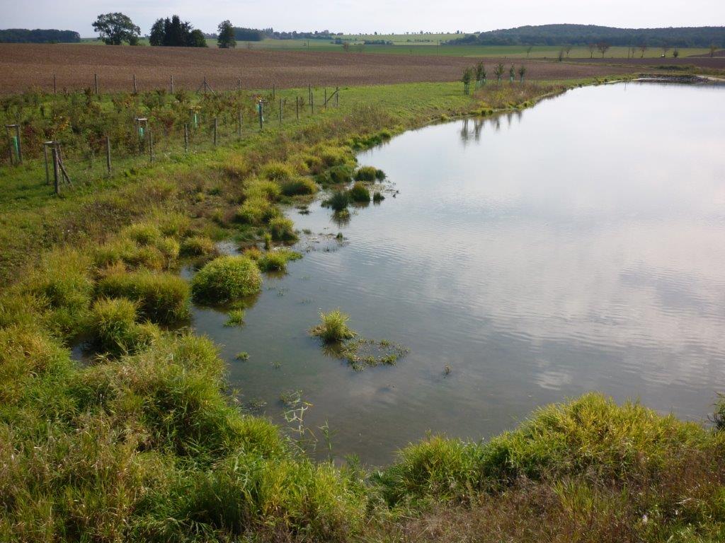 Biocentrum Na Mlakách v k. ú. Benátky
