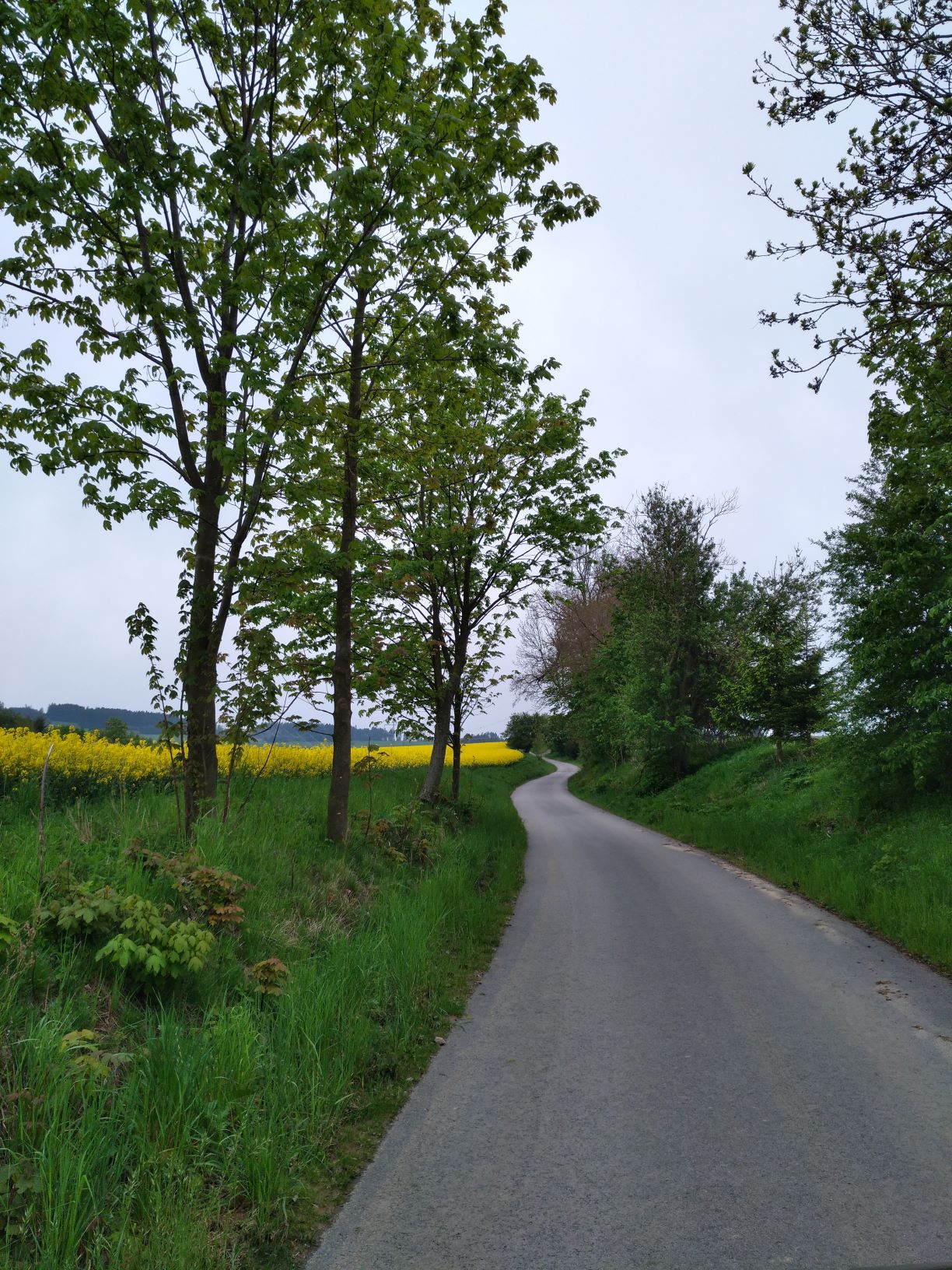 Polní cesta C7 v k.ú. Poděšín