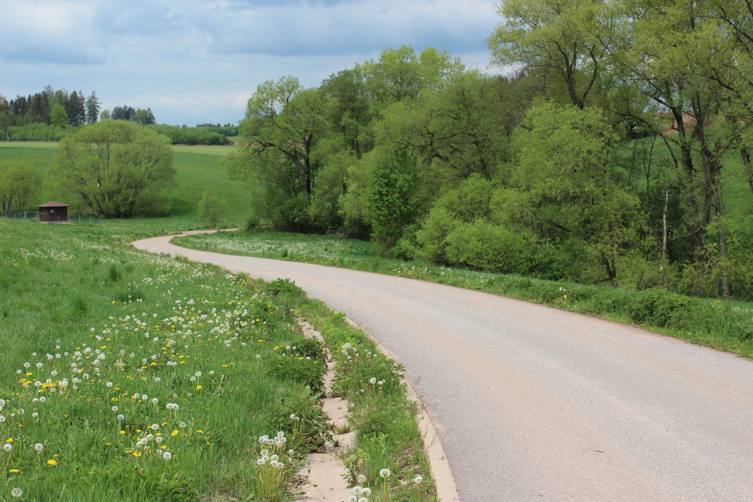 Stavba polní cesty HPC1 v k. ú. Syřenov