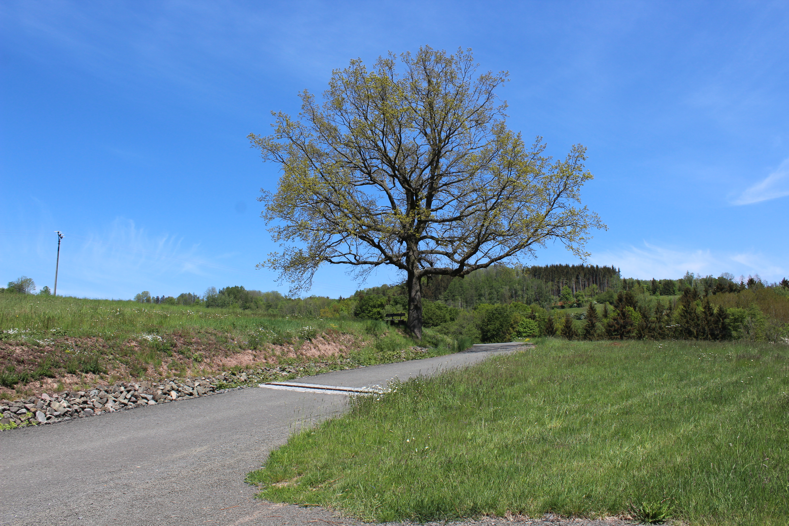 Stavba polní cesty HPC6 v k. ú. Dolní Sytová