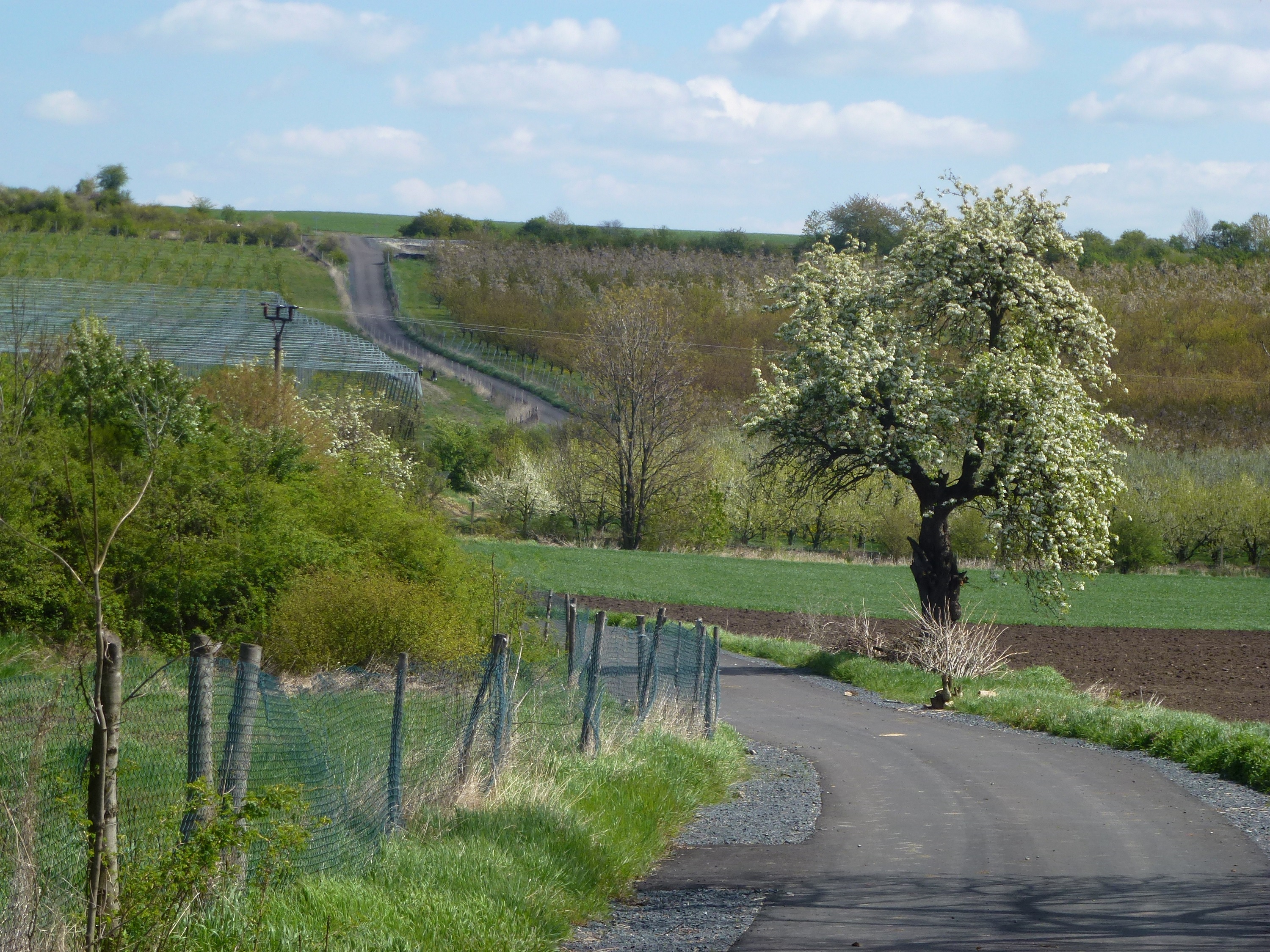 Polní cesty v k. ú. Židovice u Hnojnic