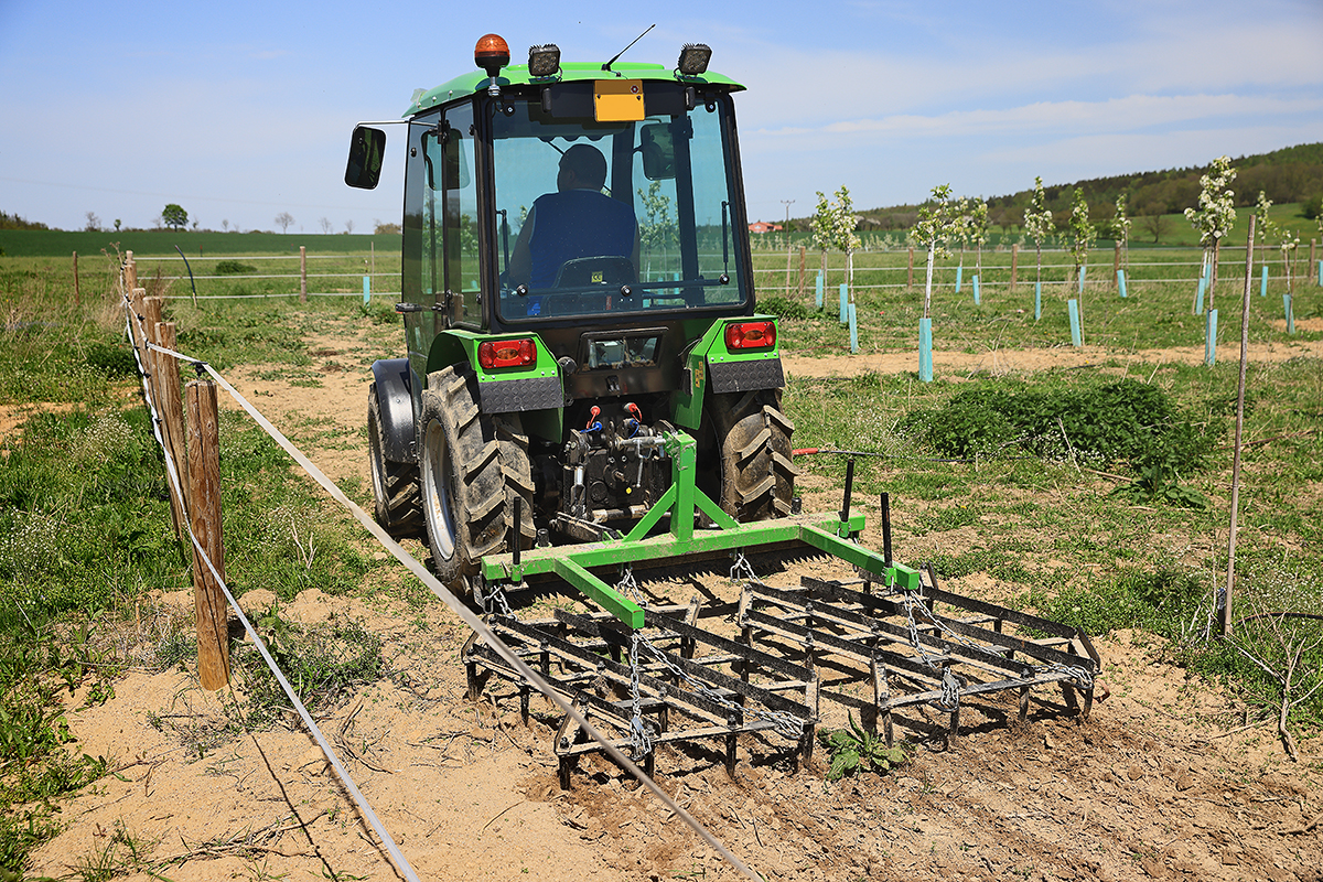 Pěstování ovoce a okrasných rostlin